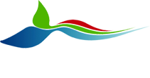 Cape Whale Coast